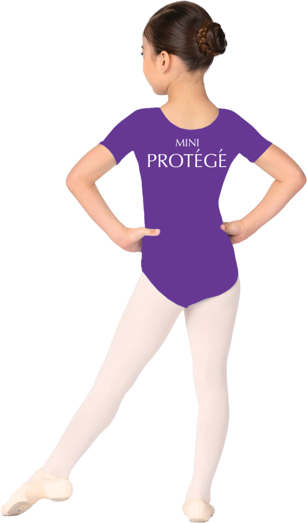 Back-Mini-Protege-Transparent-bg